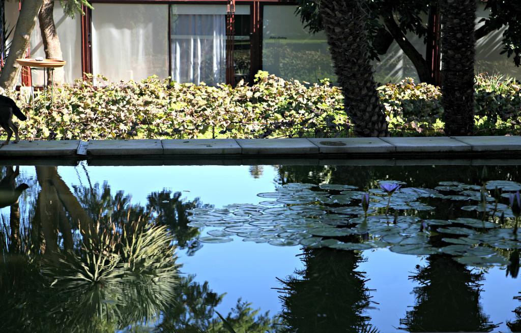 Hotel Emblematico Casa Casilda タコロンテ エクステリア 写真